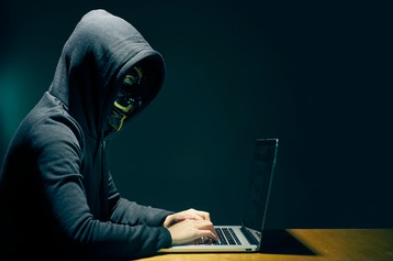 Web fraud detection