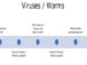 Viruses and Worms theory
