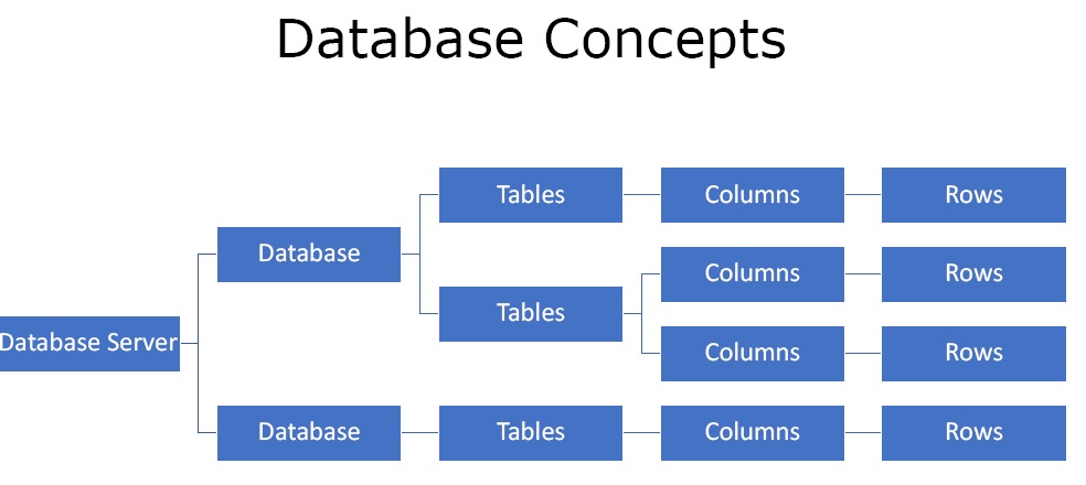 database concept SQL Injection